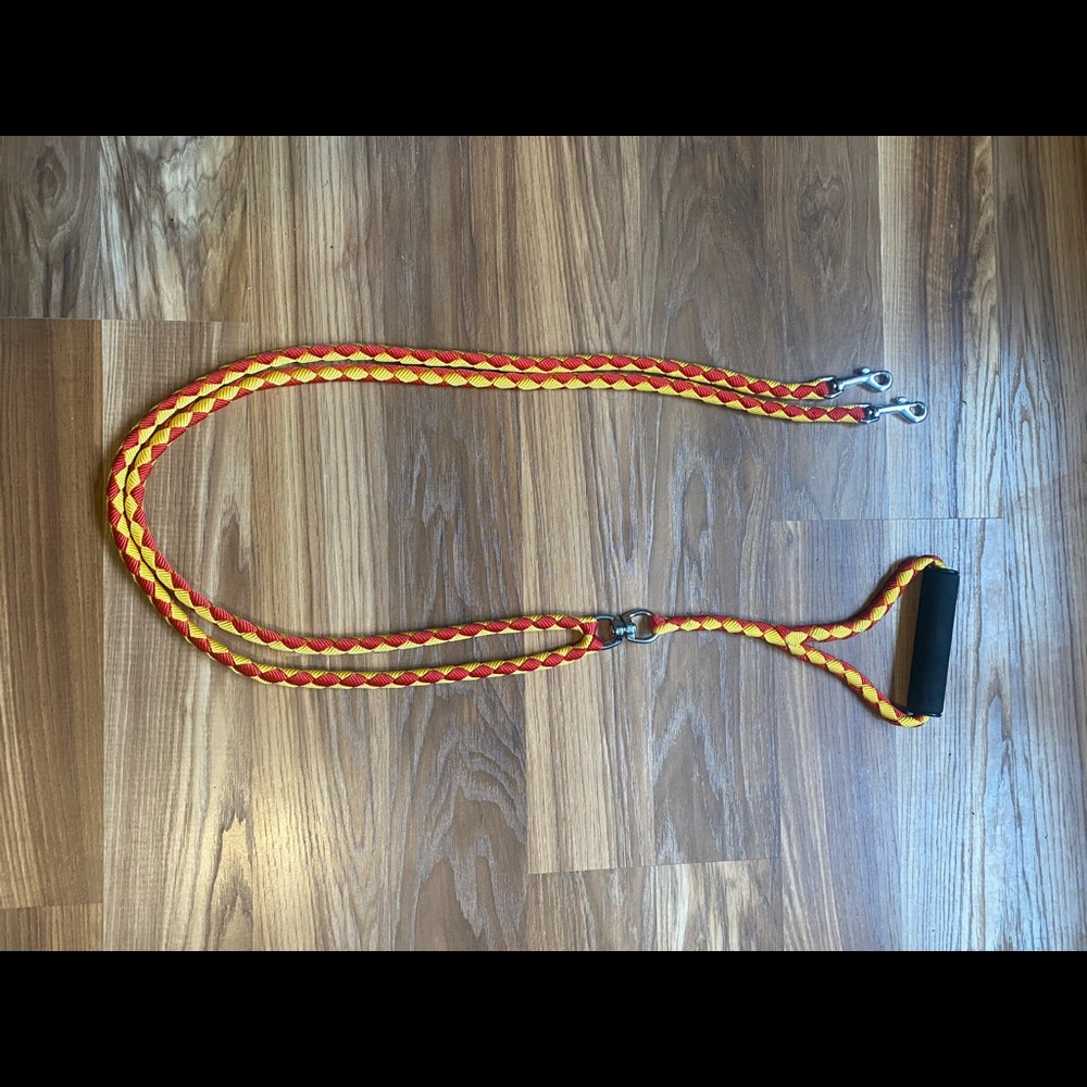 Dual dog leash